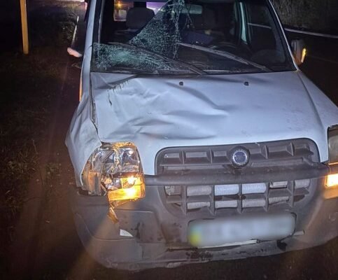 Під колесами авто на Хмельниччині загинуло літнє подружжя