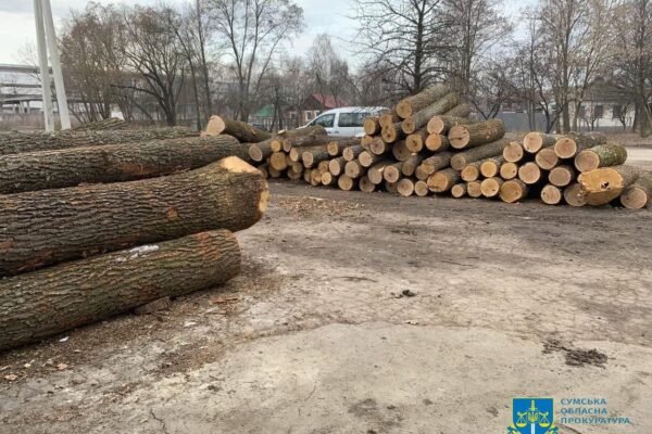В Сумах викрили працівників лісгоспу, що завдали збитків на 11 млн грн на оборудках з деревиною