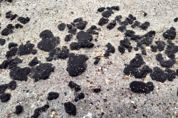 На пляжах Одещини виявили мазут з російських танкерів (ФОТО)