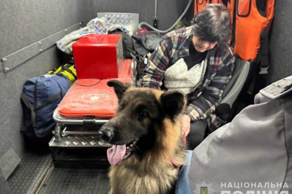 На Сумщині з-під обстрілів евакуювали родину з домашнім улюбленцем