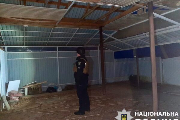 Поліція показала наслідки нічної атаки на Київщині