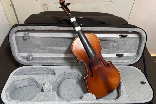На кордоні виявили старовинну скрипку, яку намагалися вивезти з країни