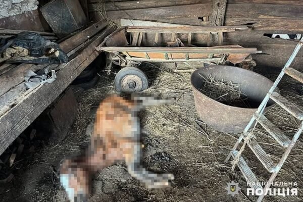 На Хмельниччині виявили 65-річного чоловіка, який тримав у жахливих умовах три десятки коней 