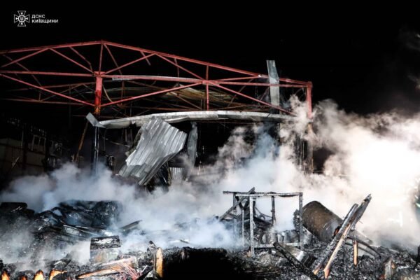 У двох районах Київщини ворожі дрони спричинили пожежі 