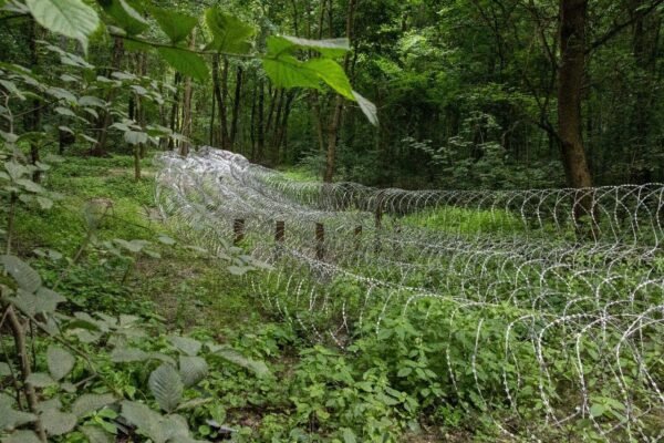 Сирський заявив, що просування росіян на Сумщині зупинено