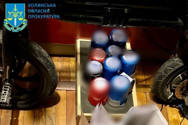 Підробила 142 документи про багатодітність для ухилянтів: На Волині засудили жінку