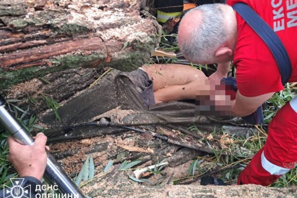 Трагедія на Одещині: Під час негоди дерево впало на намет з дітьми, один хлопчик загинув