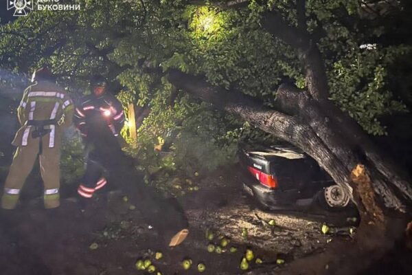 На Буковині злива та шквальний вітер призвели до аварійних пошкоджень ЛЕП та будівель