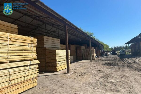 На Житомирщині викрили посадовців лісової галузі, що допустили незаконні рубки на понад 20 млн грн