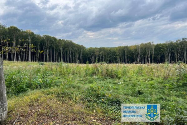 Посадовці Держлісгоспу Тернопільщини допустили незаконну вирубку на 57 млн грн