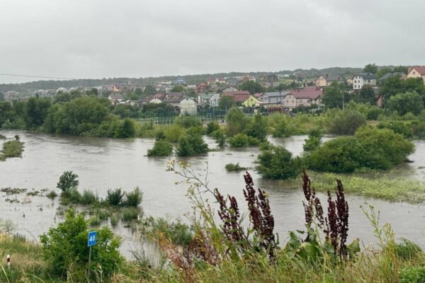Львів затопило: Через надмірні опади з берегів вийшла річка Зубра