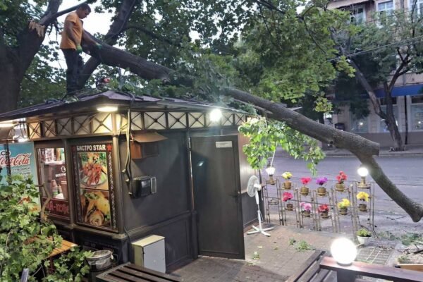 Одесою пронісся буревій. В місті повалені дерева (ФОТО)