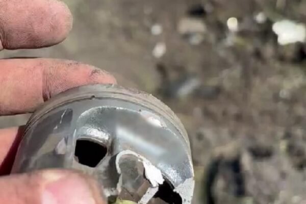 Прикордонники знищили ворожі дрони на Сумщині та у Харківській області (ВІДЕО)