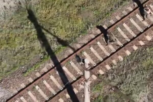 Як прикордонники “Фенікса” взяли в полон двох окупантів за допомогою дрона