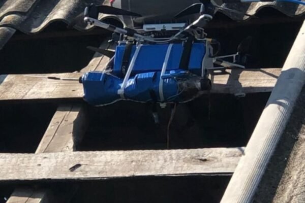 Прикордонники розповіли про знищення дронів упродовж доби