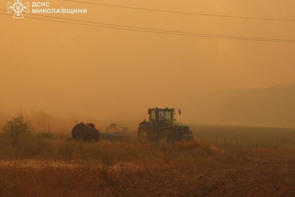 На Миколаївщині вогнеборці гасять масштабну лісову пожежу