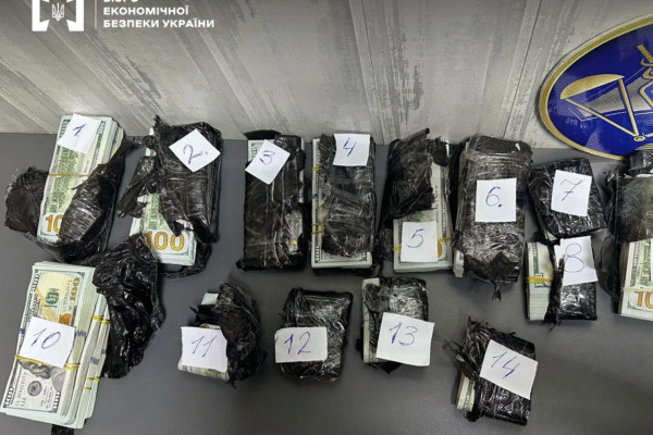 На Буковині митники виявили незадекларовані мільйони в моторному відсіку автобуса