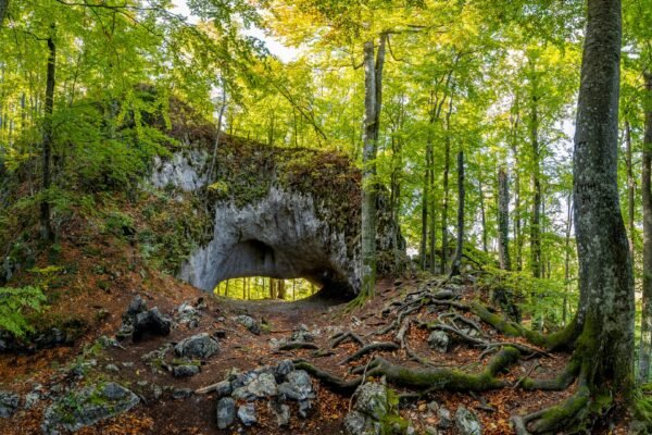Національні парки Закарпаття анонсують День відкритих дверей