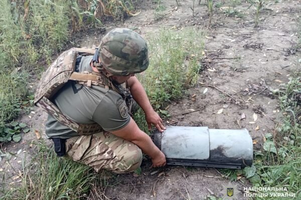 На Чернігівщині вибухотехніки знешкодили бойові частини збитих дронів