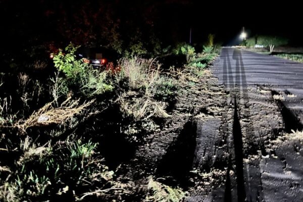 На Кіровоградщині водій іномарки збив чотирьох людей, двоє неповнолітніх пішоходів загинули