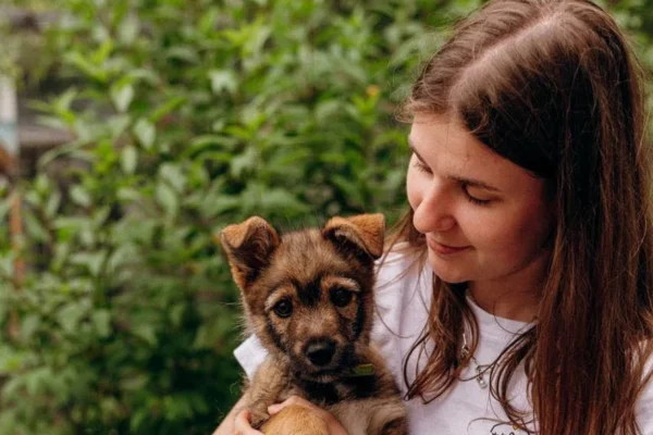 У Львові відбудеться фестиваль на підтримку врятованих тварин