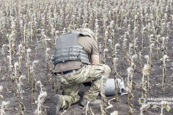 У полі на Дніпропетровщині впав ворожий дрон. Його знешкодили вибухотехніки