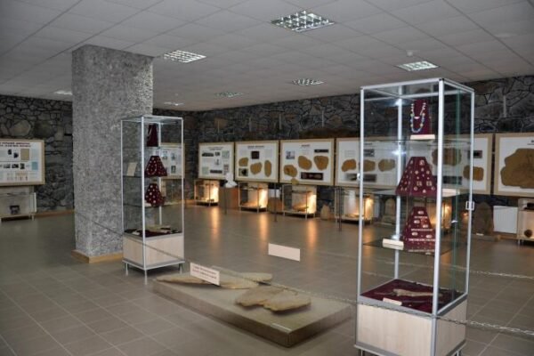 Окупанти викрали майже 40 пам’яток з музею “Кам’яна Могила” на Запоріжжі, – ГУР