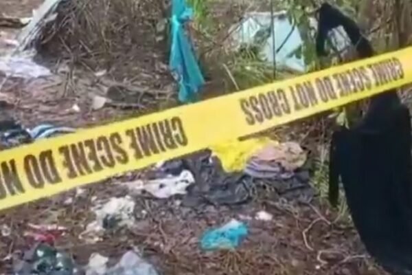 У Кенії розбився літак: Разом із пілотом загинули 10 європейських туристів (ВІДЕО)