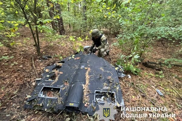 У Києві в лісосмузі виявили уламки дрона із бойовою частиною
