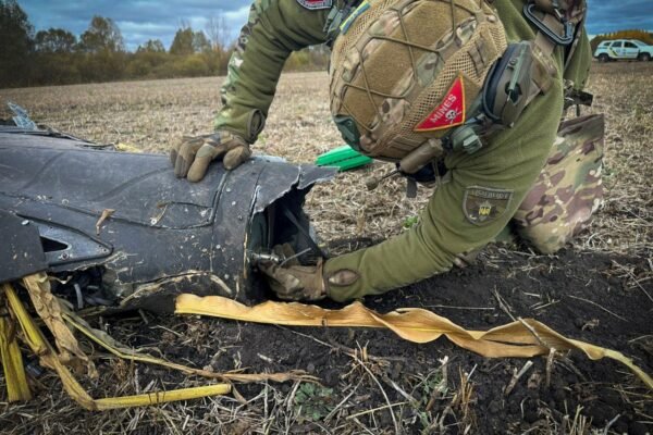На Сумщині вибухотехніки знешкодили “шахед”, що впав на околиці села