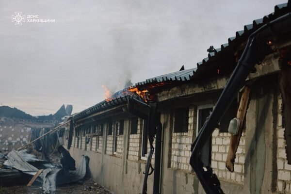 Окупанти атакували аграрне підприємство на Харківщині: Вбили 13 тисяч свиней