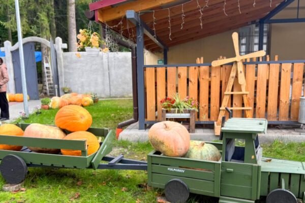 Львівська психіатрична лікарня запрошує на фестиваль Kulparkiv Fest