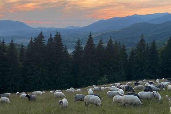Два села на Закарпатті увійшли до числа найкращих туристичних сіл 2025 року