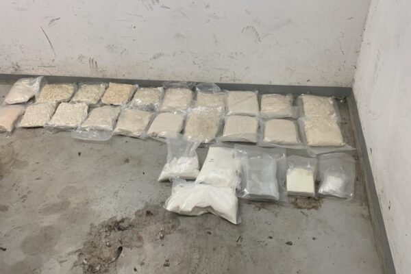 Митники не дозволили ввезти в Україну понад 27 кг психотропів і наркотичних засобів