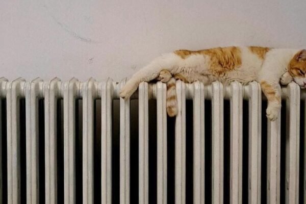 Зеленський заявив, що опалювальний сезон офіційно стартує сьогодні