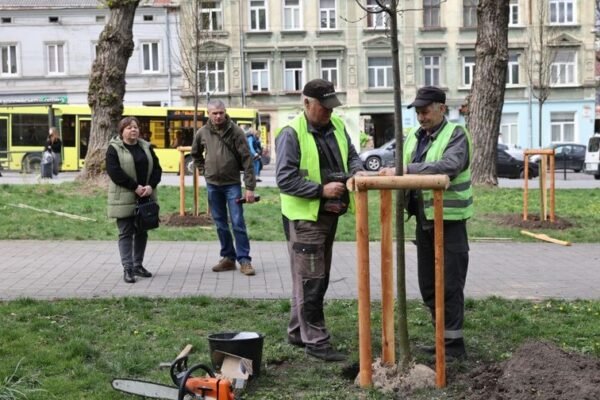 У Львові висадять більше 600 дерев та кущів, подарованих благодійниками