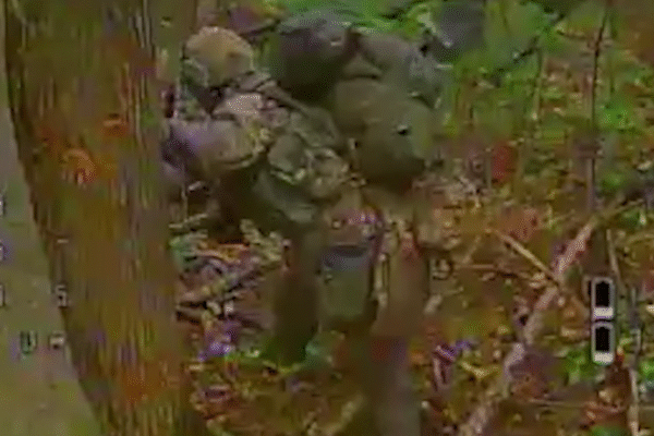 Прикордонники знищили ворожі укриття разом з окупантами на Курському напрямку