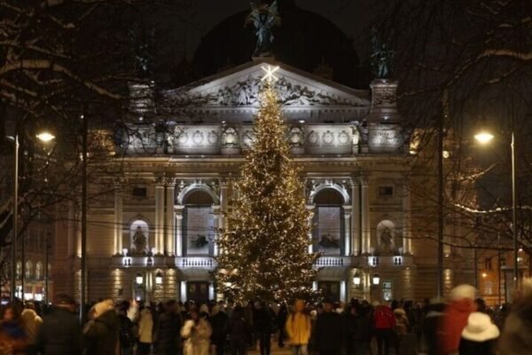 У Львові обирають головну різдвяну ялинку з 15-ти «претенденток»