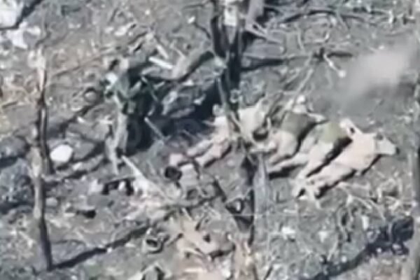 Рашисти вкотре стратили беззбройних українських військовополонених на Покровському напрямку