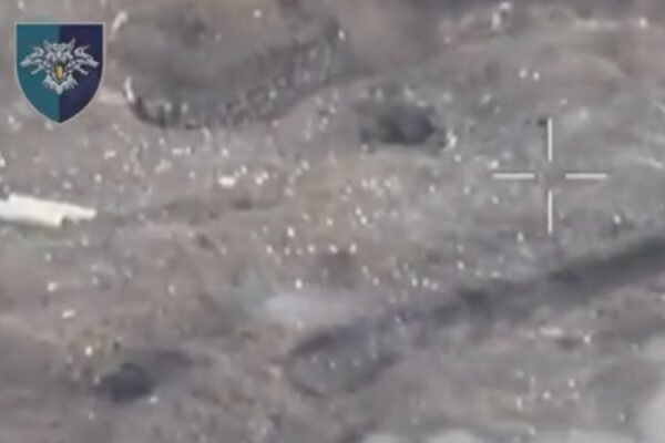 Українські морпіхи відбили російський штурм на Мирноградському напрямку (ВІДЕО)