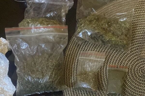 Львівські правоохоронці знищили плантацію конопель в лісі та вилучили наркотиків на 3,5 млн грн