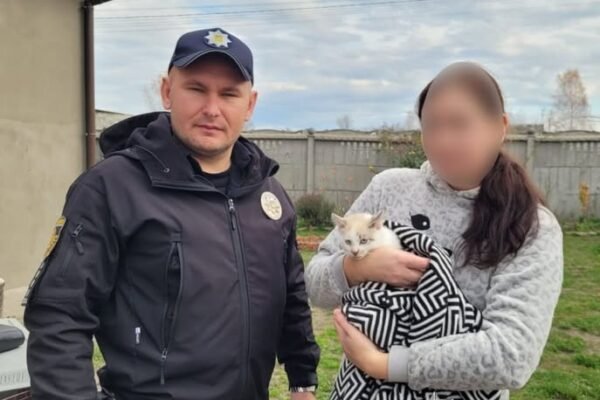 На Львівщині притягнули до відповідальності батька дитини, яка розмалювала кота фломастерами