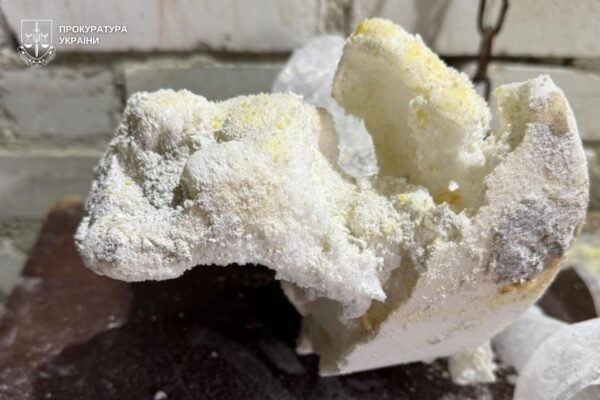 Орендували на Львівщині будинок в селі і перетворили його на нарколабораторію: двоє чоловіків проведуть за ґратами 9 років