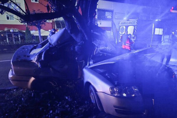 На Закарпатті Skoda Superb врізалася в дерево: загинула 20-річна дівчина