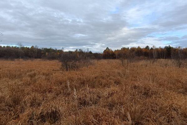 На Львівщині працюють над створенням ботанічного заказника «Кави» площею понад 200 га