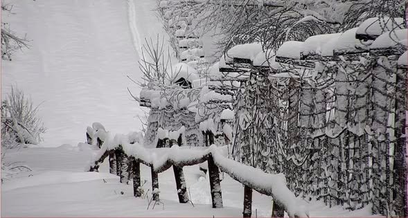 Зима вдарила на повну: львівські прикордонники поділилися атмосферними світлинами з українського кордону (ФОТО)