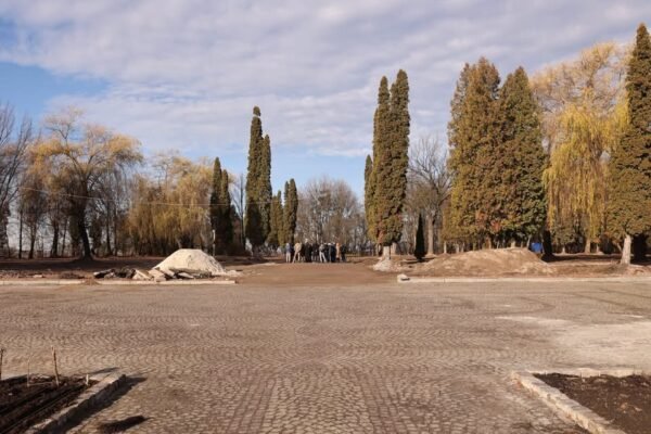 У Львові обрали нове місце для Поля почесних поховань захисників та захисниць України