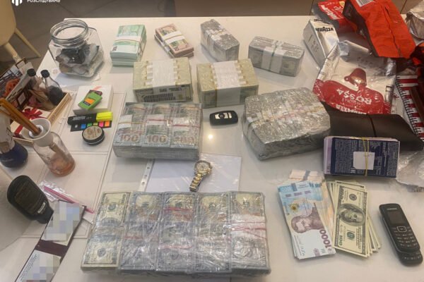 Незаконне збагачення: У посадовиці Держекоінспекції знайшли незадекларовані мільйони (ФОТО, ВІДЕО)