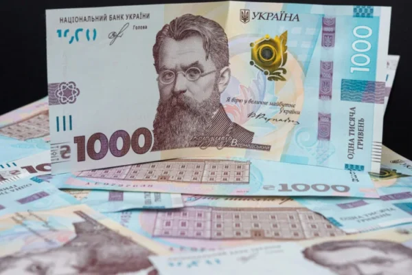 У “Дії” вже 7 мільйонів українців подали заяви на отримання “зимової” 1000 гривень
