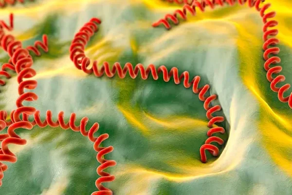 На Львівщині 66-річна жінка померла від лептоспірозу